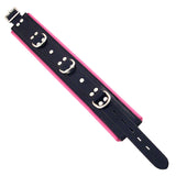 Rouge Garments Black And Pink Padded Collar - Kinky Betty's - 