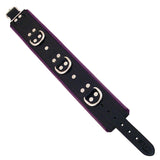 Rouge Garments Black And Purple Padded Collar - Kinky Betty's - 