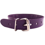 Rouge Garments Purple Studded ORing Studded Collar - Kinky Betty's - 