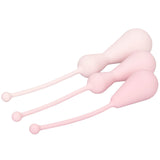 Inspire Weighted Silicone Kegel Training Kit - Kinky Betty's - 