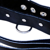 SportSheets Leather Leash And Collar - Kinky Betty's - 
